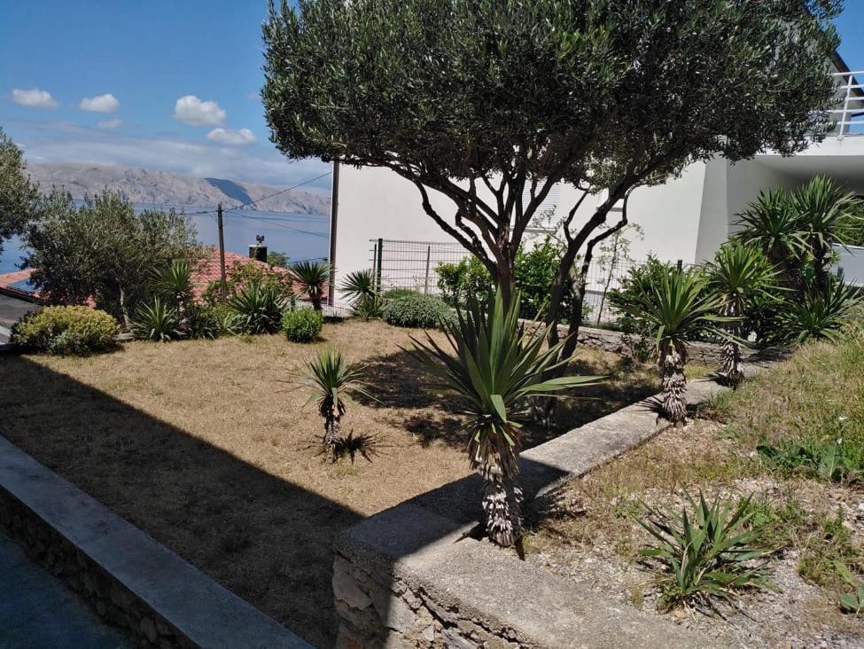 Apartment Franjo سينج المظهر الخارجي الصورة