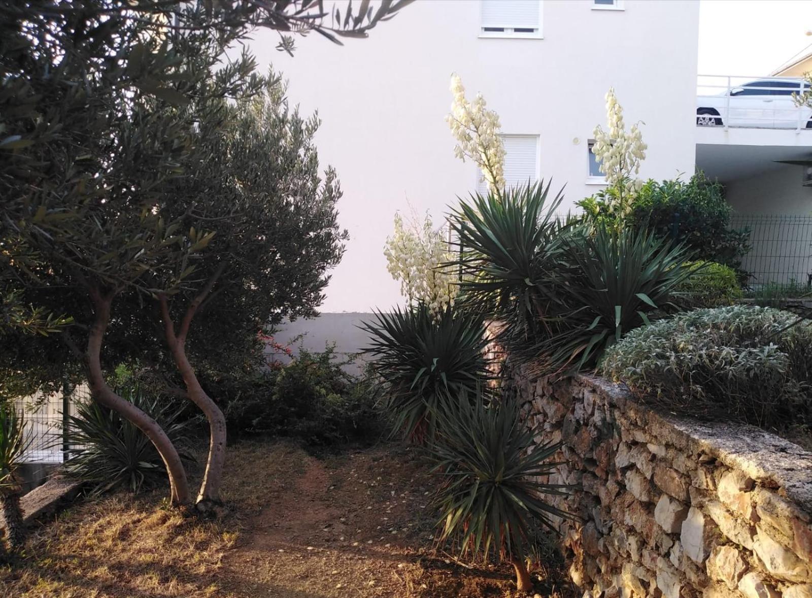 Apartment Franjo سينج المظهر الخارجي الصورة
